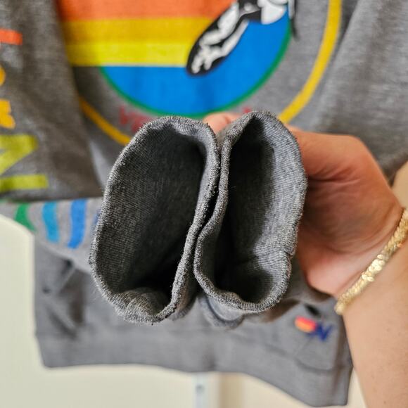 AVIATOR NATION Heather Grey Venice CA Drawstring Rainbow Surf Hoodie Sz M - Picture 9 of 16